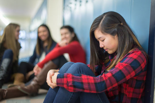 What are the effects and consequences of harassment in high school?