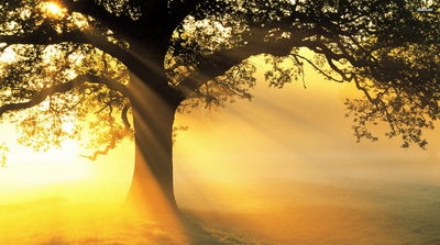 The Use of Imagery in Enhancing Mindfulness Practices