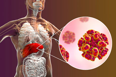 How do sex and drugs connect to HIV transmission?