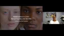 Adolescence in Crisis: Racial Trauma and Identity (A Trauma-Focused DBT Perspective) DVD