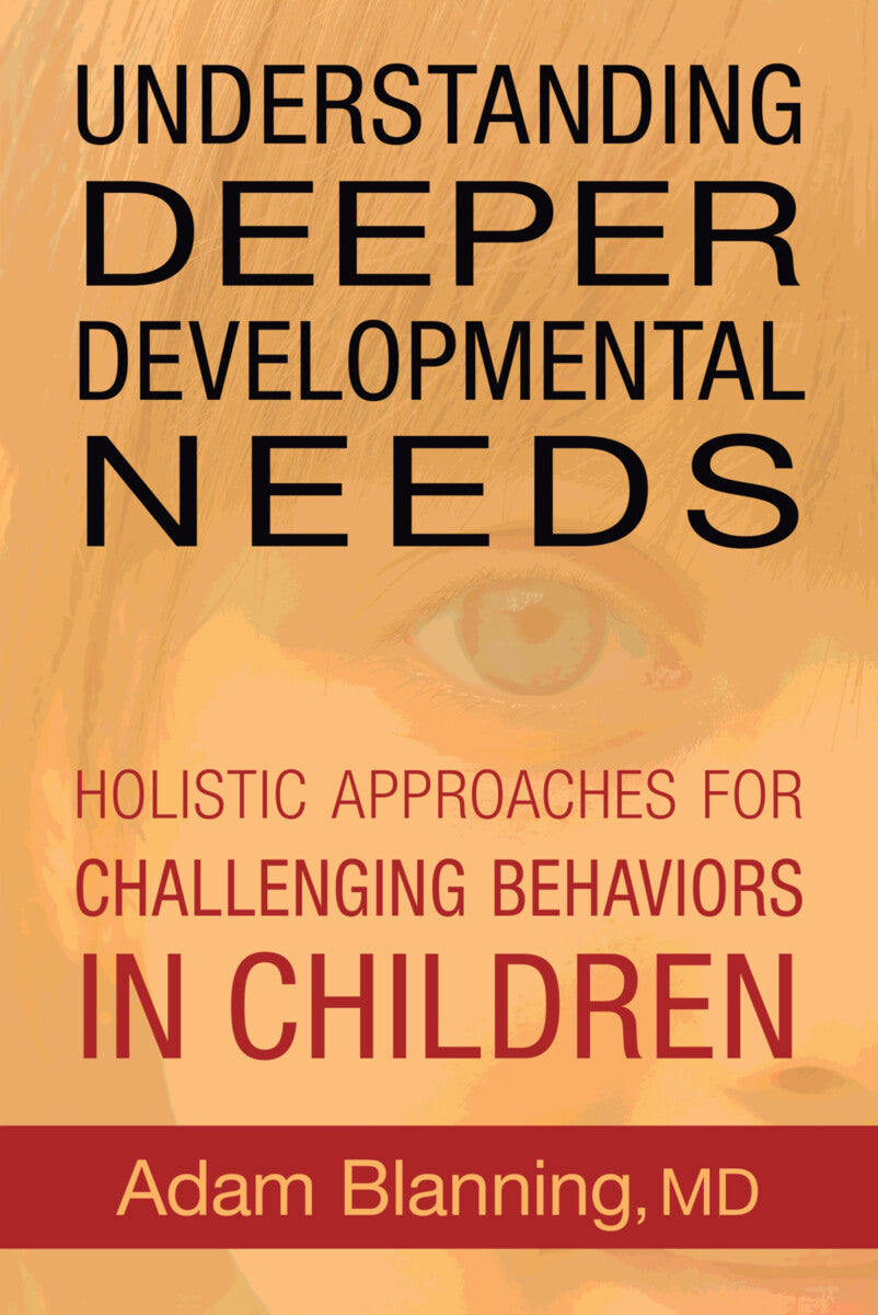 Understanding Deeper Developmental Needs: Holistic Approaches for Challenging Behaviors in Children (BOOK)