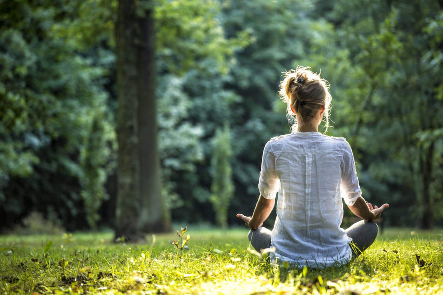 Mindfulness: Staying Calm in a Crazy World