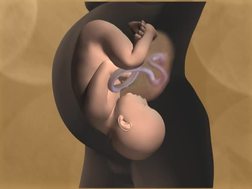 Alcohol and Pregnancy