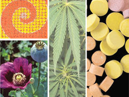 Drugs: The Straight Facts