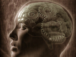 Optimizing Intelligences: Thinking, Emotion, and Creativity