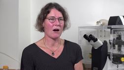Neuroscientist-Career Q&A: Professional Advice and Insight