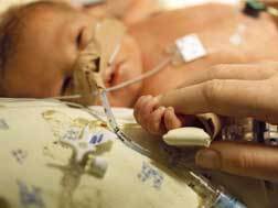 Infants with Disabilities: A Baby on Board Case Study