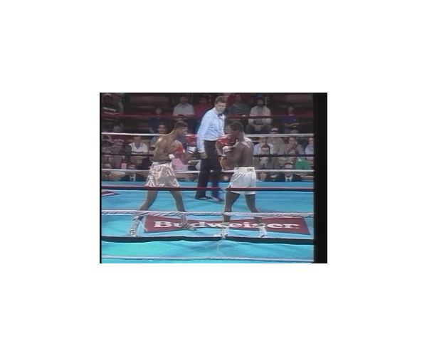 Winner by Decision 