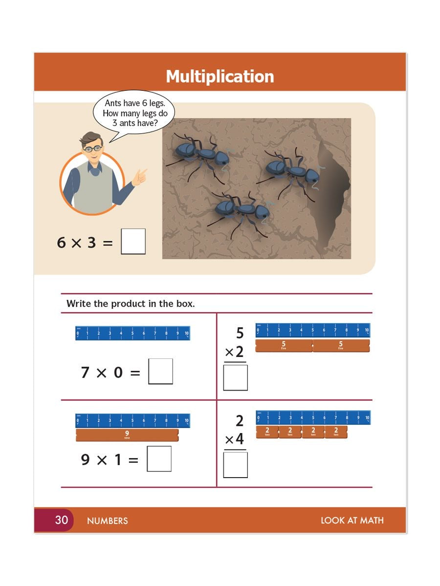 Look at Math Curriculum Plus